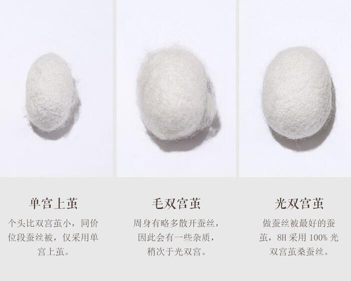 雙宮繭與單宮繭的區(qū)別