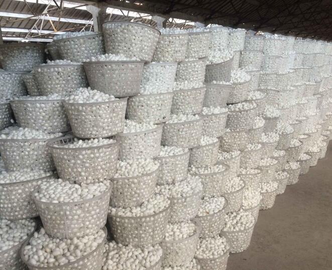 商務(wù)部關(guān)于繭絲綢行業(yè)&ldquo;十四五&rdquo;發(fā)展的指導(dǎo)意見